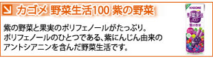 紫にんじん、紫いも、赤じそ、紫キャベツなどの紫色の野菜を中心とした18種類の野菜と、ぶどうやブルーベリーなど8種類の果物をブレンドした、フルーティーで飲みやすいぶどう味の野菜ジュースです。