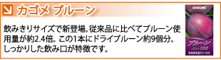 この1本にドライプルーン約9個分がぎゅっと詰まっています。しっかりした飲み口が特徴です。
