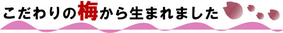 紀州南高梅　一粒一粒健康的な梅の栄養分を育て上げ、美味しい梅干しをお届けします。