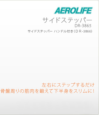 左右にステップするだけ・・・ステッパー