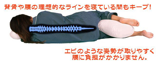 睡眠中の不良姿勢は腰痛の原因にも。これを使えば背骨のラインもまっすぐで、腰への負担がありません。
