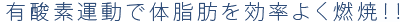 サイドステッパー