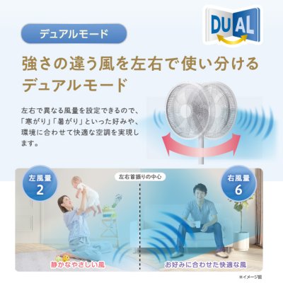 画像7: ゼンケンDC扇風機  値下げ 心地よい風をお部屋の隅々までお届け。サーキュレーターとしても一年中活躍。 (7)