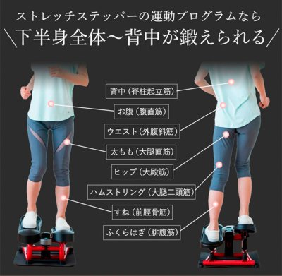 画像14: 柔軟な体を手に入れよう!  エアロライフ ストレッチステッパー  美脚 美姿勢 シェイプアップ 柔軟運動 (14)