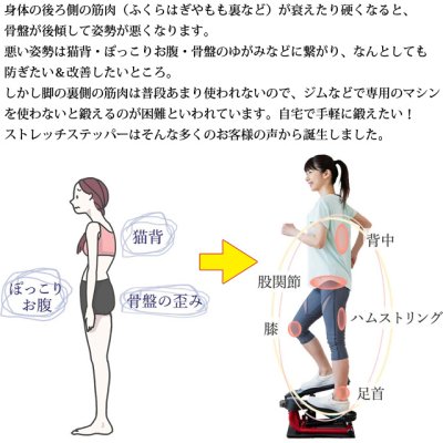 画像15: 柔軟な体を手に入れよう!  エアロライフ ストレッチステッパー  美脚 美姿勢 シェイプアップ 柔軟運動 (15)