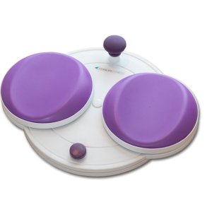 画像1: エアロライフ  AEROLIFE フラコアディスク