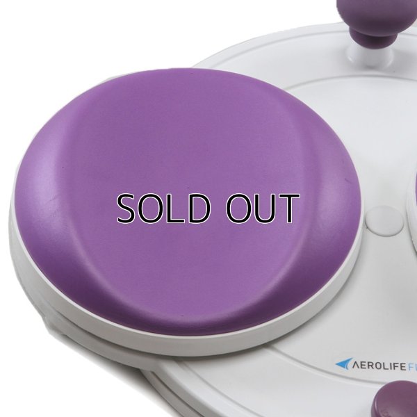 画像2: 究極のひねり運動でお腹 引き締め エアロライフ  フラコアディスク ひねる ダイエット 美容 健康 (2)