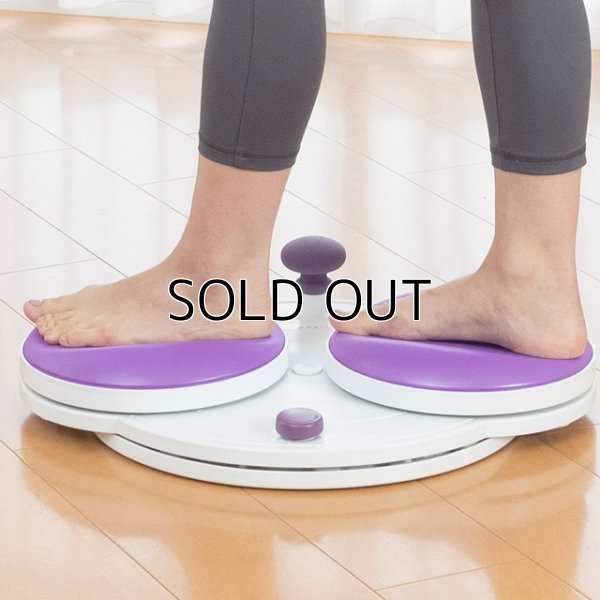 画像3: 究極のひねり運動でお腹 引き締め エアロライフ  フラコアディスク ひねる ダイエット 美容 健康 (3)