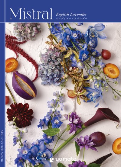 画像1: 選べるギフト Mistral(ミストラル)　＜English Lavender(イングリッシュラベンダー)＞雑貨からグルメまで大切な方に贈るのにピッタリのアイテムが勢揃い (1)