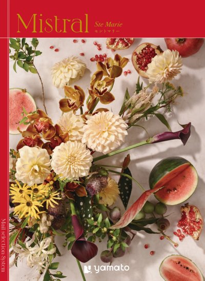 画像1: 選べるギフト Mistral(ミストラル)　＜Ste Marie(セントマリー)＞雑貨からグルメまで、大切な方に贈りたい、有名ブランドの上質なアイテムを多数揃えました。 (1)