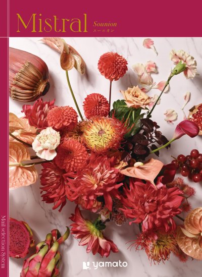 画像1: 選べるギフト Mistral(ミストラル)　＜Sounion(スーニオン)＞ ファッションアイテムからグルメまで見るのも楽しいギフトカタログ (1)