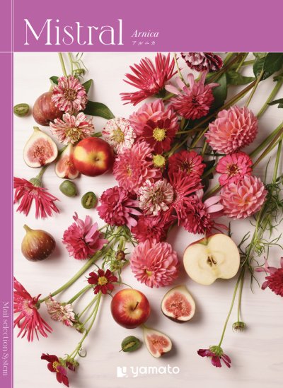 画像1: 選べるギフト Mistral(ミストラル)　＜Arnica(アルニカ)＞雑貨からグルメまで贈る方・贈られた方を華やかな気分にさせるカタログギフト (1)