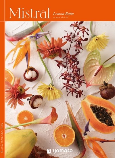 画像1: 選べるギフト Mistral(ミストラル)　＜Lemon Balm(レモンバーム)＞雑貨からグルメまで素敵な品が勢揃い (1)