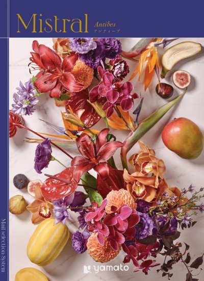 画像1: 選べるギフト Mistral(ミストラル)　＜Antibes(アンティーブ)＞ 雑貨からグルメまで、大切な方に贈りたい、有名ブランドの上質なアイテムを多数揃えました。 (1)