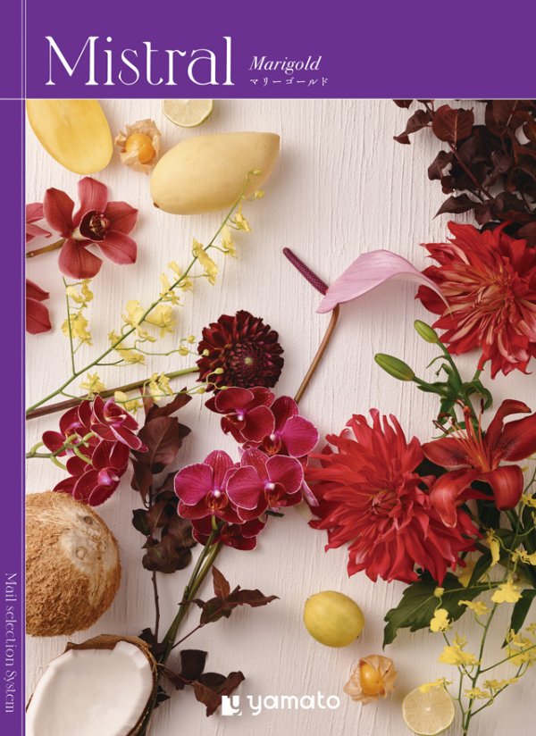 画像1: 選べるギフト Mistral(ミストラル)　＜Marigold(マリーゴールド)＞落ち着いた表紙でデザインも可愛いカタログ カタログのラインナップも豊富です (1)