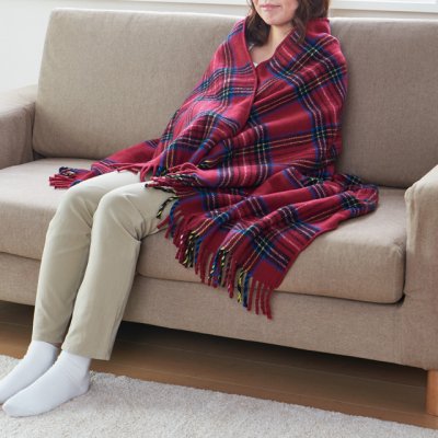 画像6: 椙山紡織 電気ひざ掛け ワイドサイズでラグの上に敷いたり、身体に巻いたり、ひざ掛けとして使ったりといろいろ…。 (6)