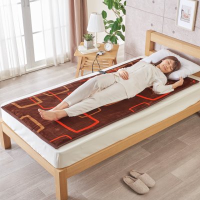 画像2: 椙山紡織 プレミアムボア電気敷毛布ロング 全身をゆったりと暖めるロングサイズ。 (2)