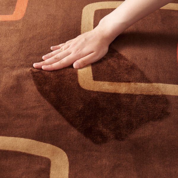 画像9: 椙山紡織 プレミアムボア電気敷毛布ロング 全身をゆったりと暖めるロングサイズ。 (9)