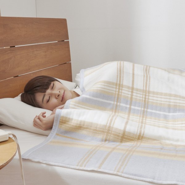 画像3: 椙山紡織 電気掛敷毛布