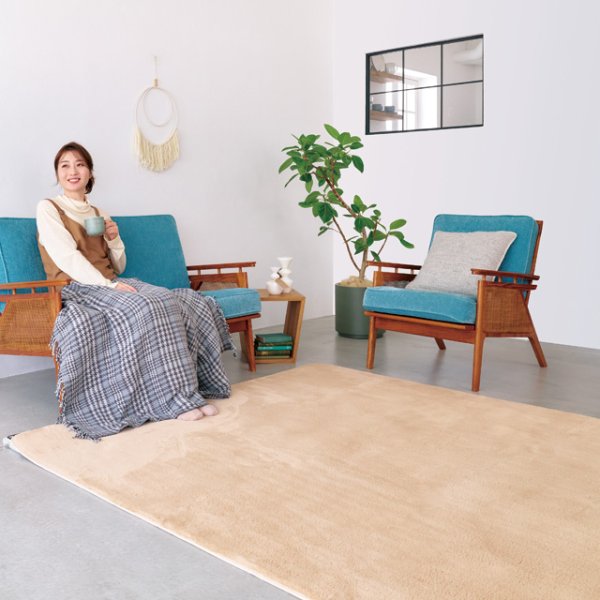 画像3: ゼンケン 電磁波99%カット 電気ホットカーペット3畳タイプ モカブラウン【カバー付】心地よい手触り＆暖かさをお届けします。 (3)