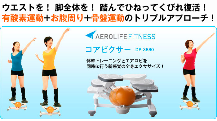 AEROLIFE エアロライフ コアビクサー ステッパー DR-3880数回使用後保管しておりました