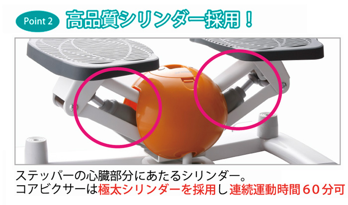 自宅で簡単 有酸素運動 踏み込む＆ひねるの進化型ステッパー エアロライフ AEROLIFE コアビクサー(DVD付)