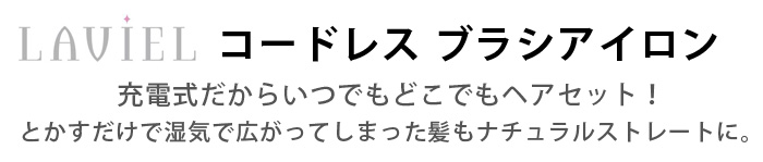 充電式