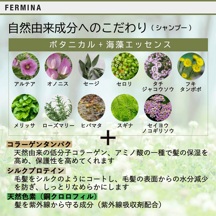 シャンプー＆トリートメント セット 成分・こだわり