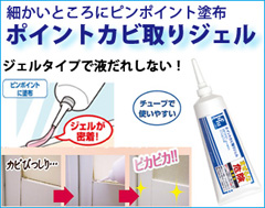 Le Plus(ル・プラス) ポイントカビ取りジェル